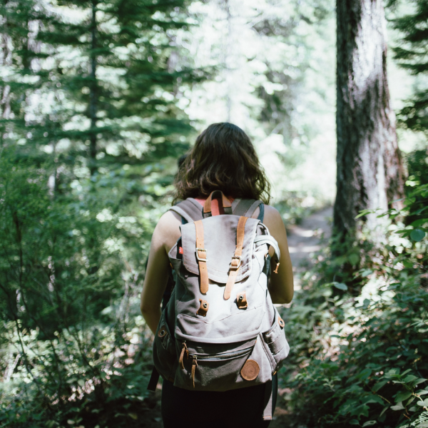 Why Hiking is the Perfect Form of Exercise