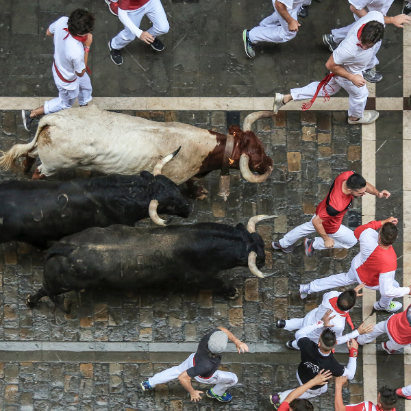 How to Escape From a Charging Bull