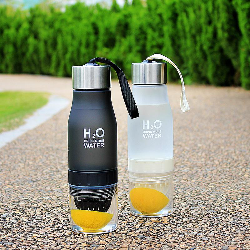 H2O 650 mL Water Bottle and Fruit Infuser - Survival Cat