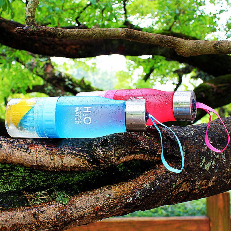 H2O 650 mL Water Bottle and Fruit Infuser - Survival Cat