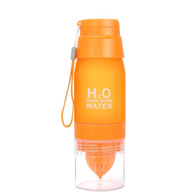 H2O 650 mL Water Bottle and Fruit Infuser - Survival Cat